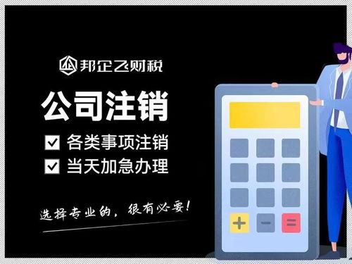 成都新都区石板滩企业服务指南 注册公司、代理记账与公司注销一站式解读