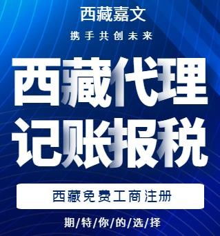 西藏代理记账收费标准与条件解析